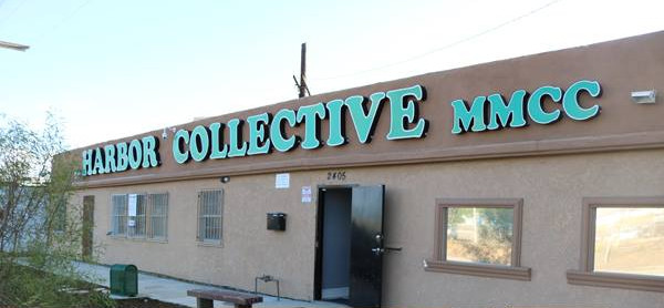 Harbor Collective photo 7