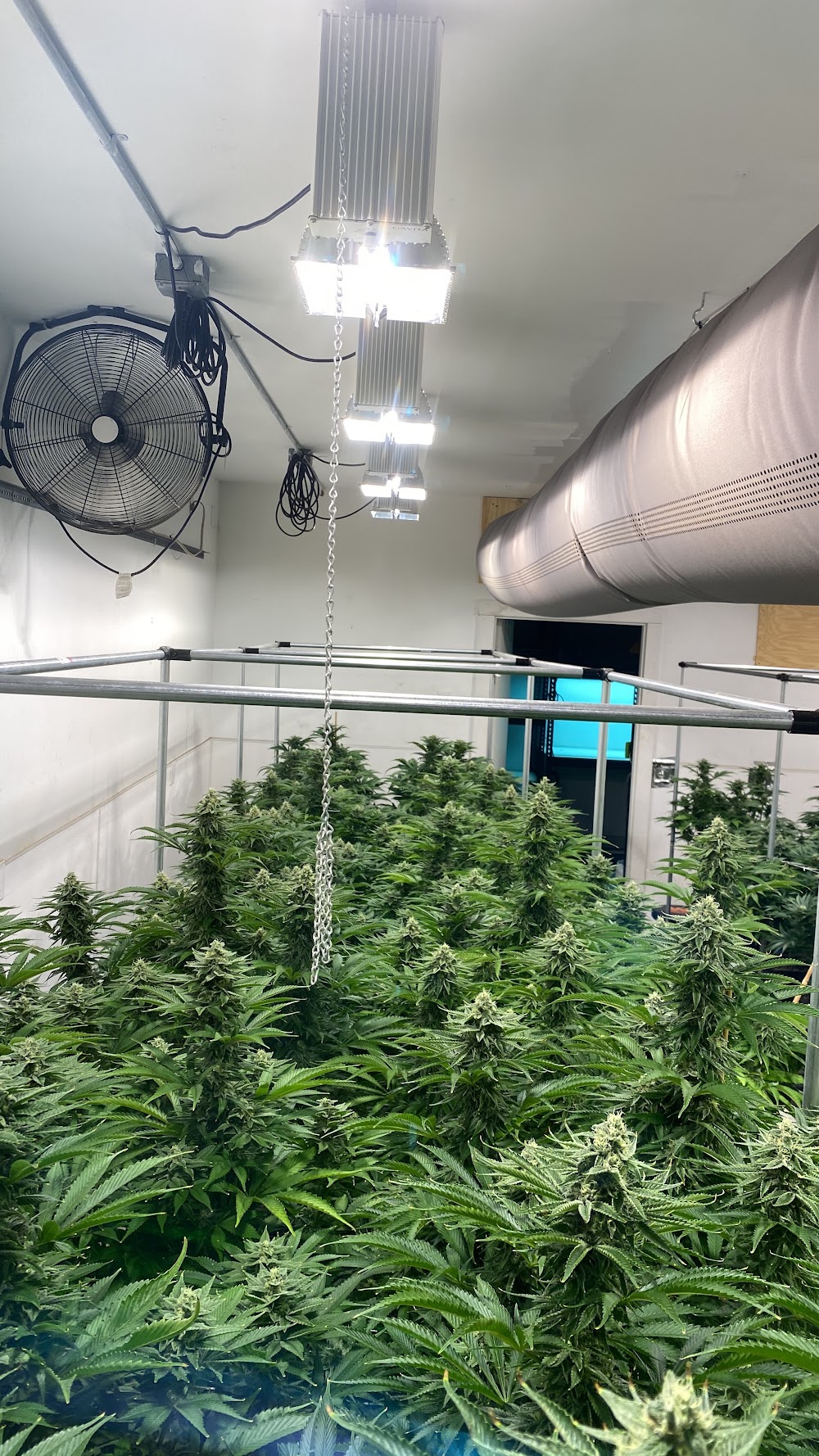 Harvest House photo 3