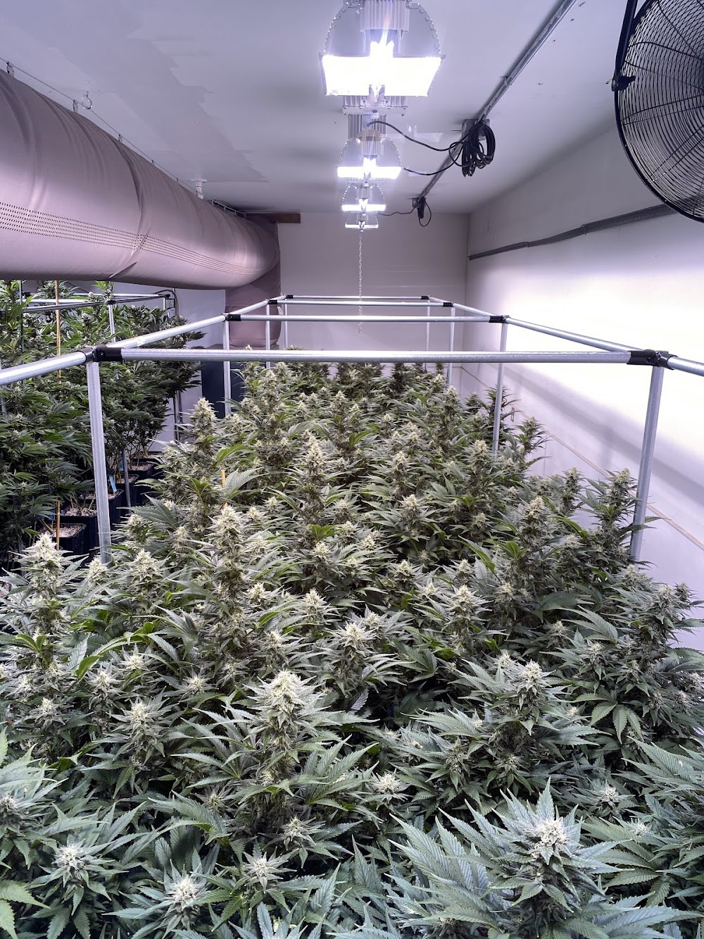 Harvest House photo 6