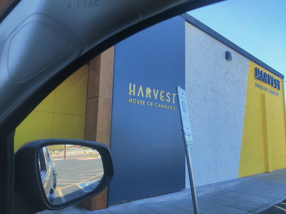 Harvest Of Phoenix photo 4