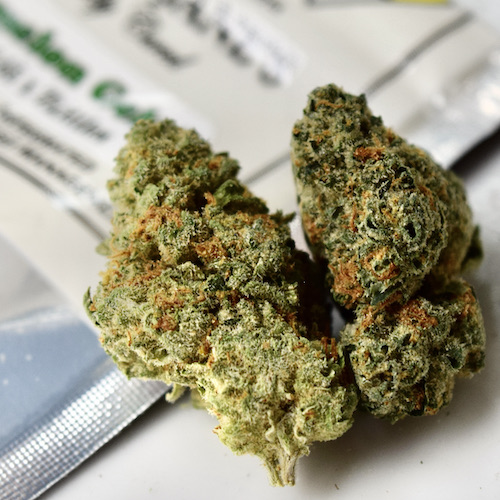 Hashtag Cannabis photo 6