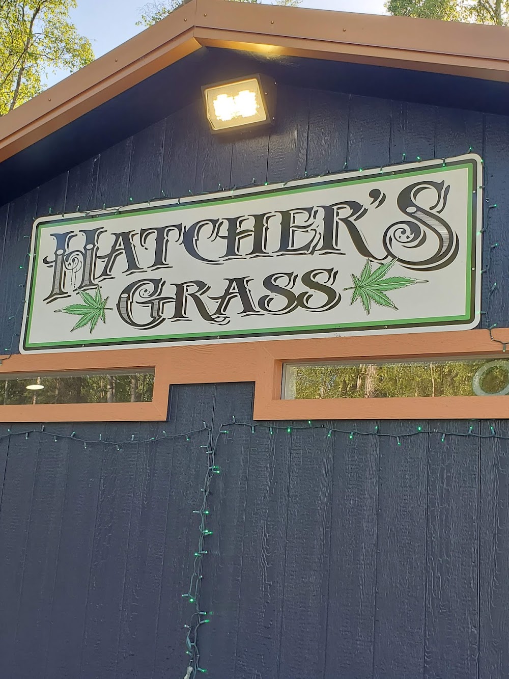 Hatcher's Grass photo 5