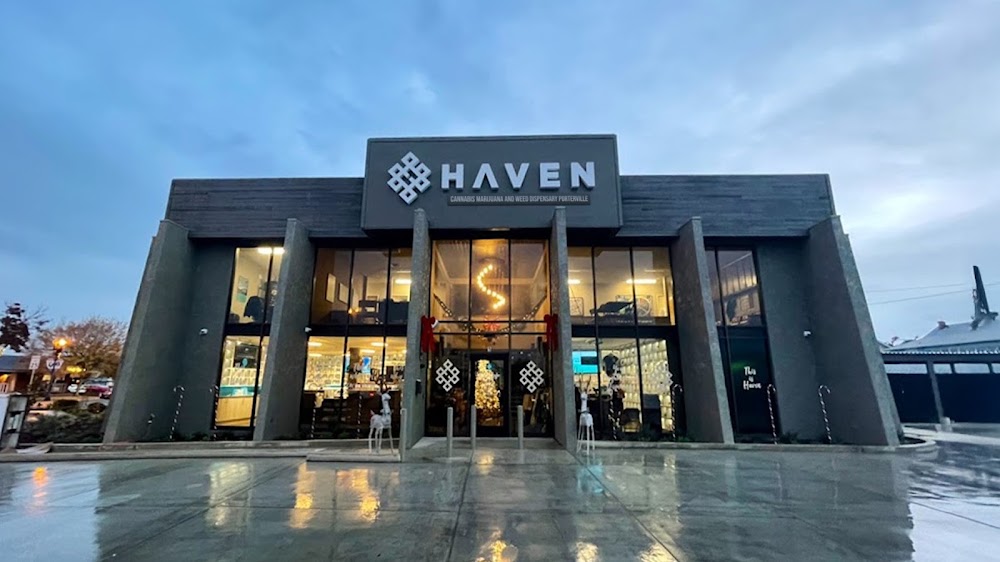 Haven #7 photo 1