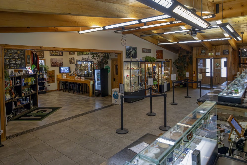 Hd Botanicals photo 5
