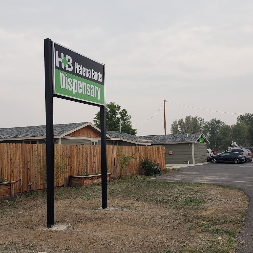 Helena Buds photo 1