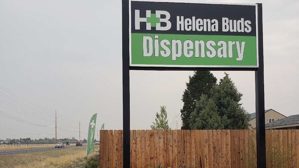 Helena Buds photo 2
