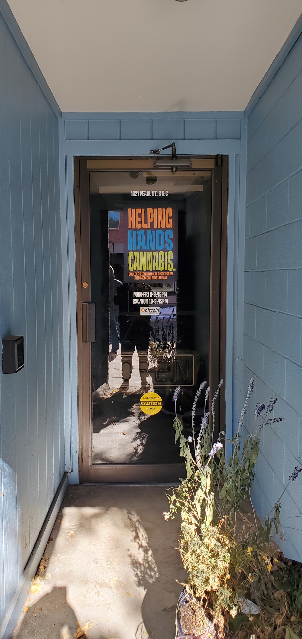 Helping Hands Cannabis photo 1