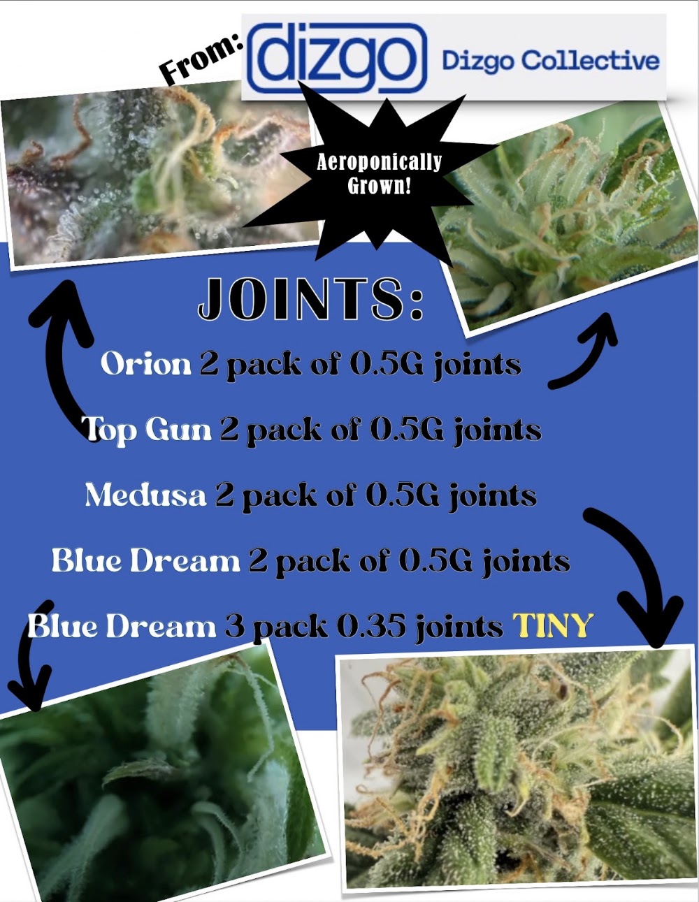 Hempire photo 5
