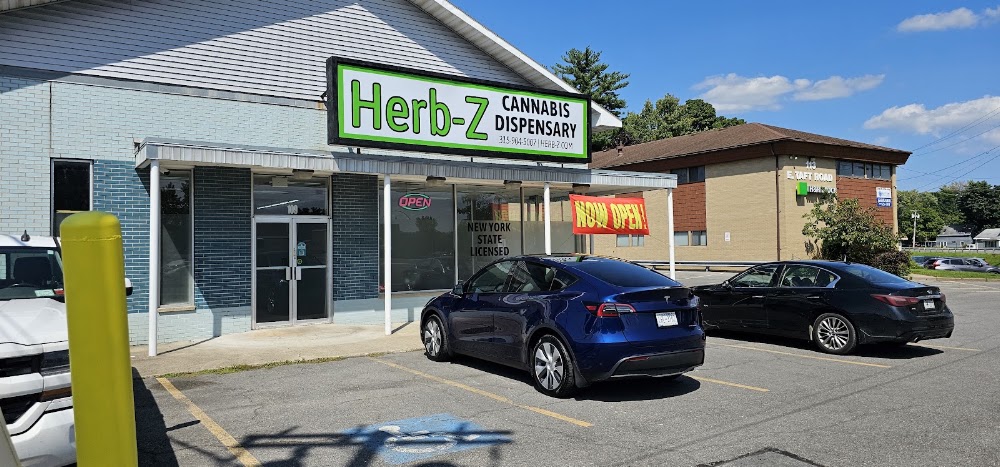 Herb-Z photo 4