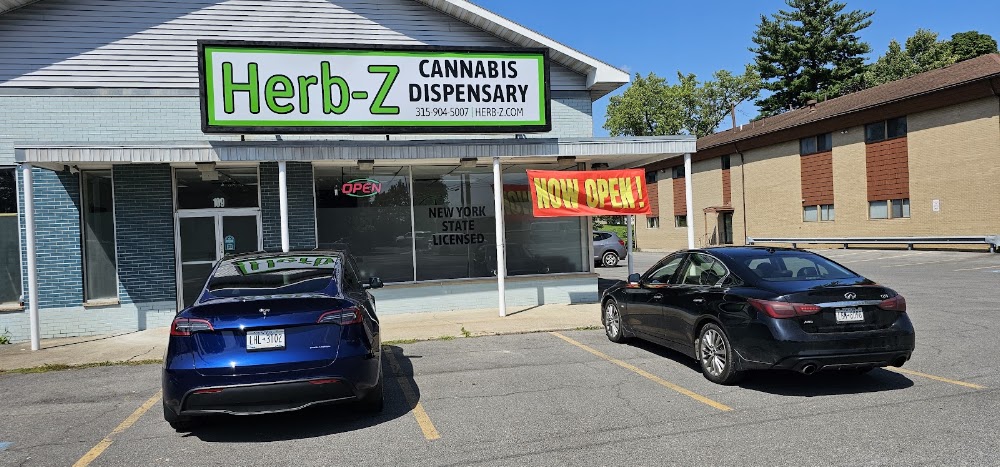 Herb-Z photo 7