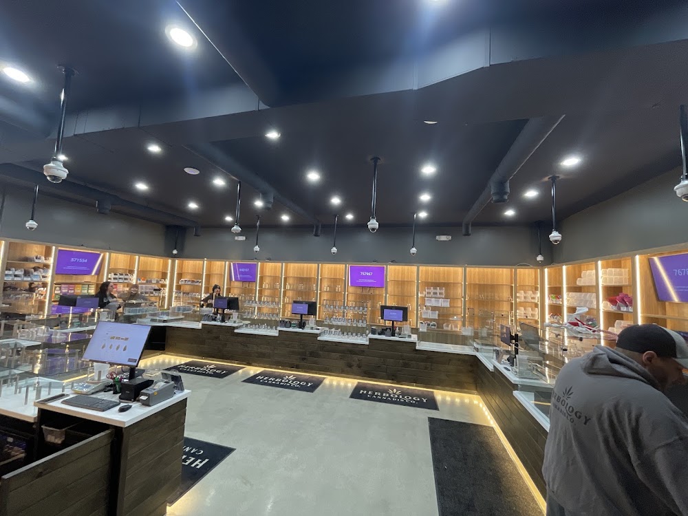 Herbology Cannabis CO Adrian photo 1