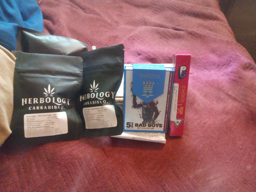Herbology Cannabis CO Adrian photo 7