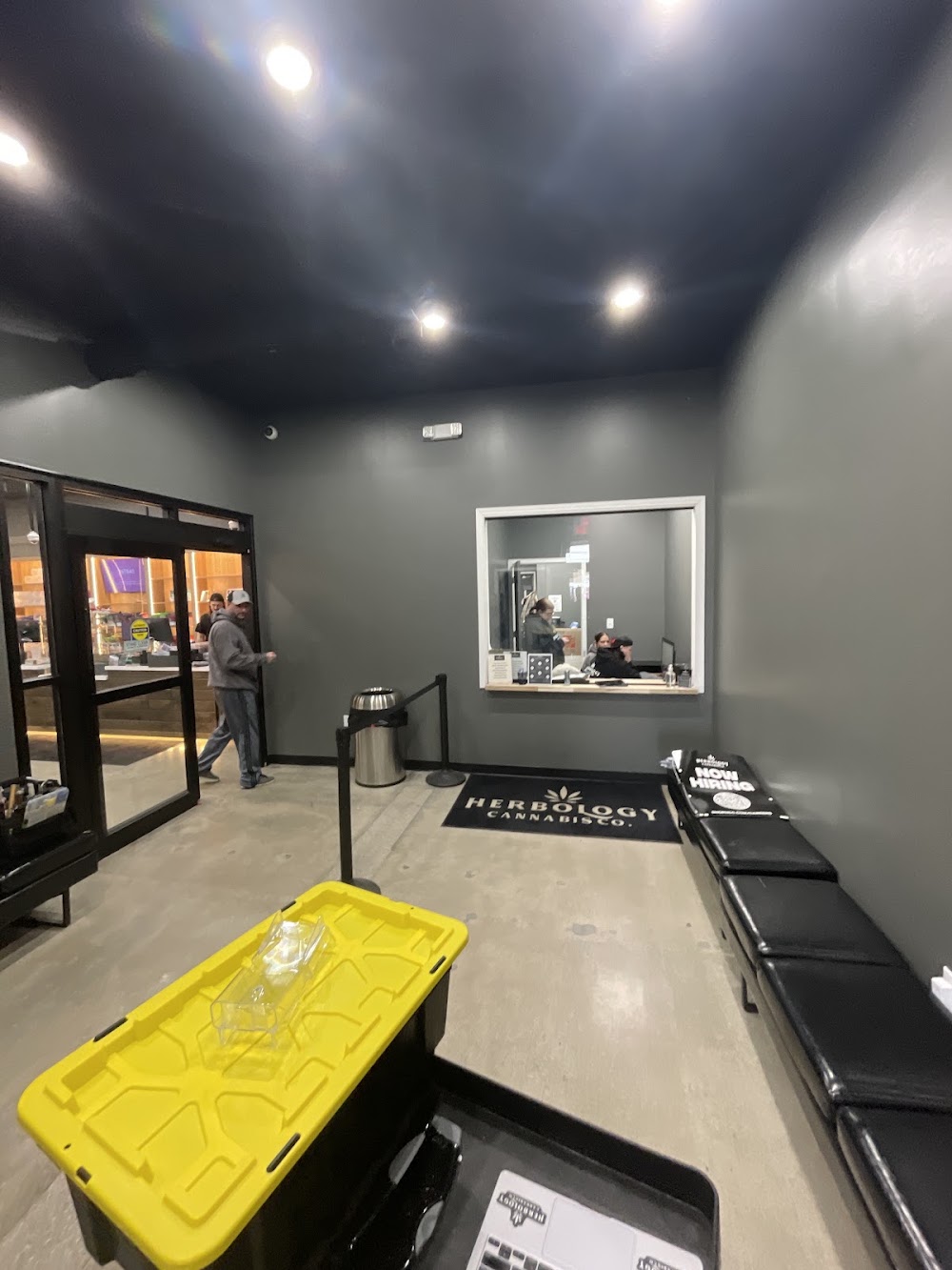 Herbology Cannabis CO Adrian photo 8