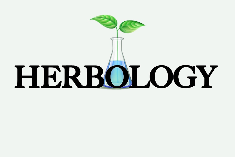 Herbology photo 8