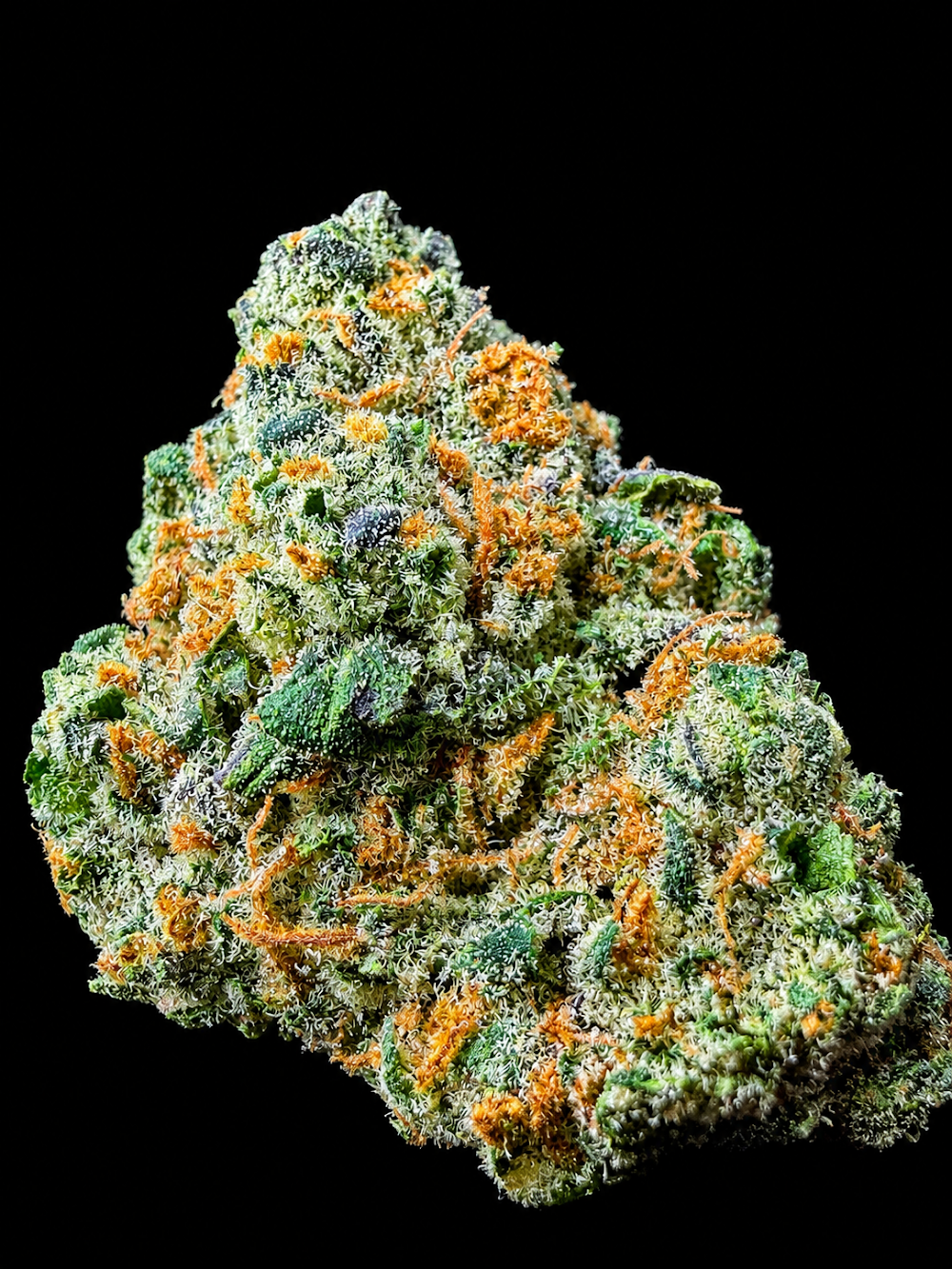 Herbs 4 You photo 4