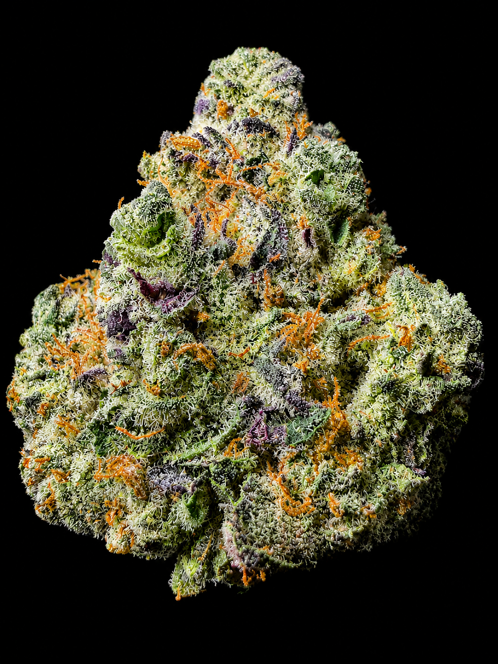 Herbs 4 You photo 6
