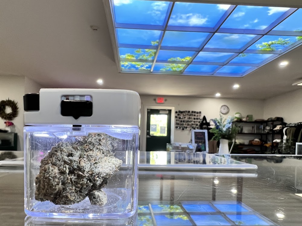 Hi-Lo Dispensary photo 4