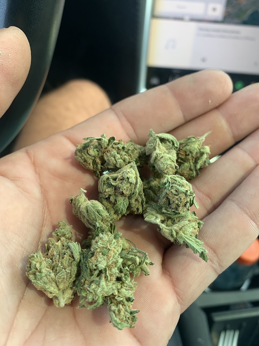 Hi People Cannabis Market photo 6