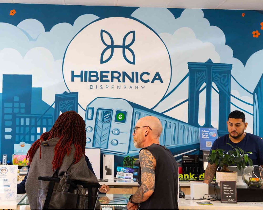 Hibernica photo 7