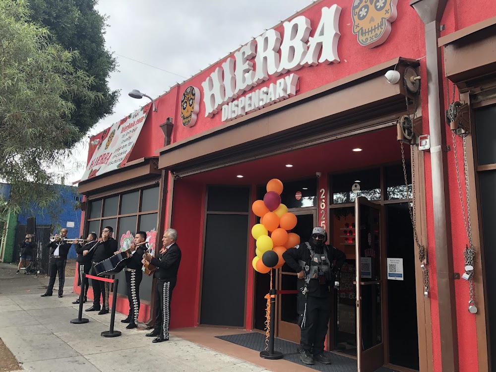 Hierba photo 4