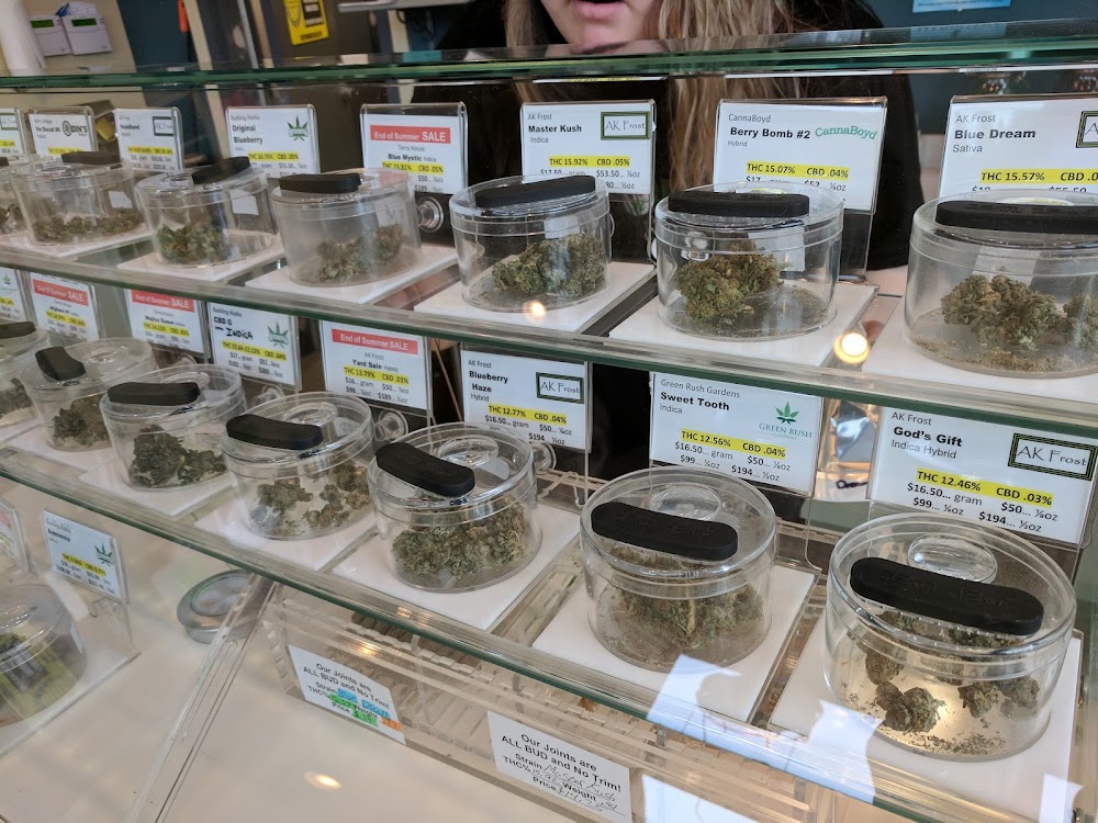 High Bush Buds photo 2