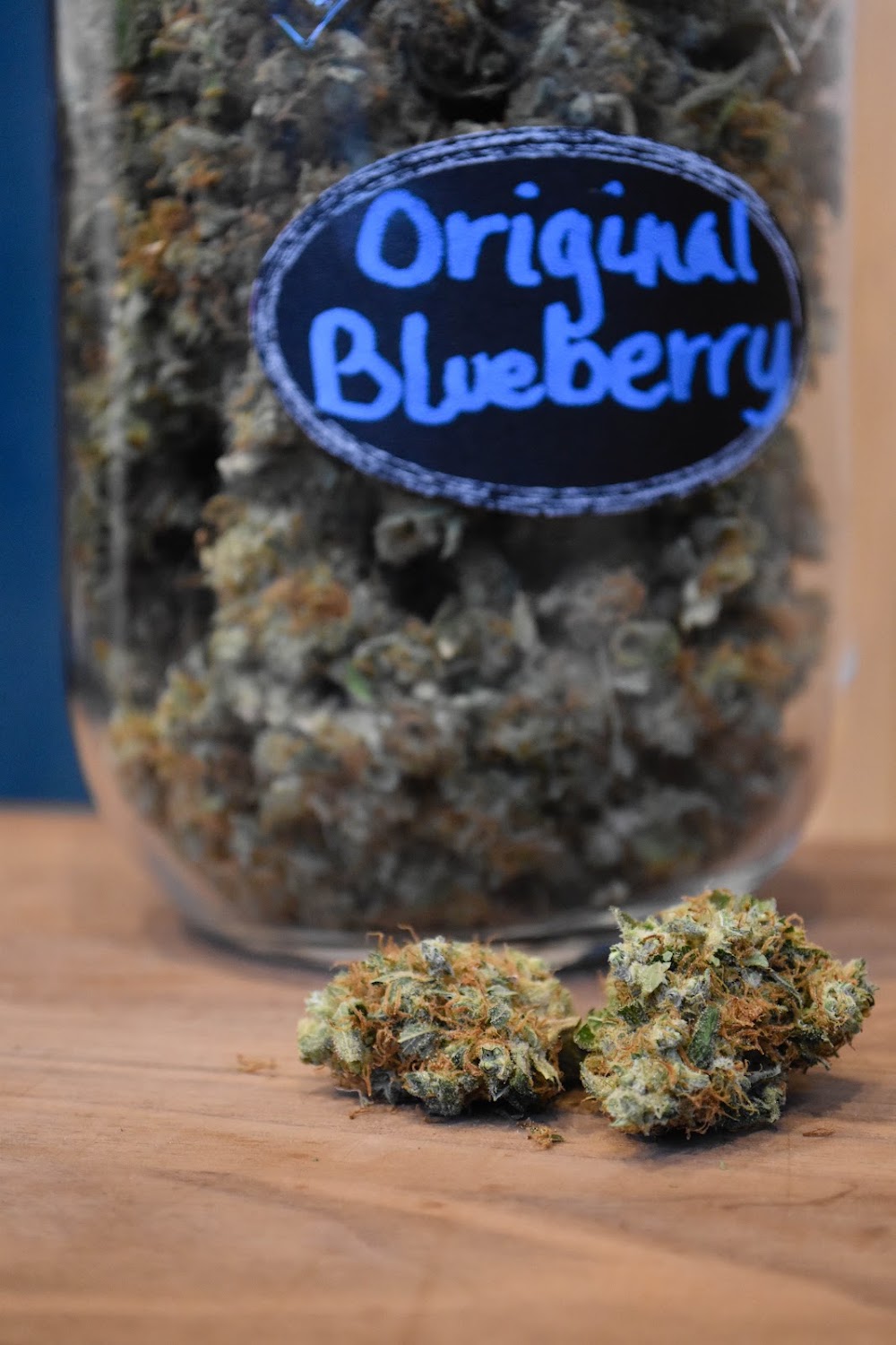 High Bush Buds photo 8