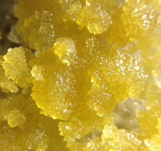 High Plainz Strains & Dispensary photo 8