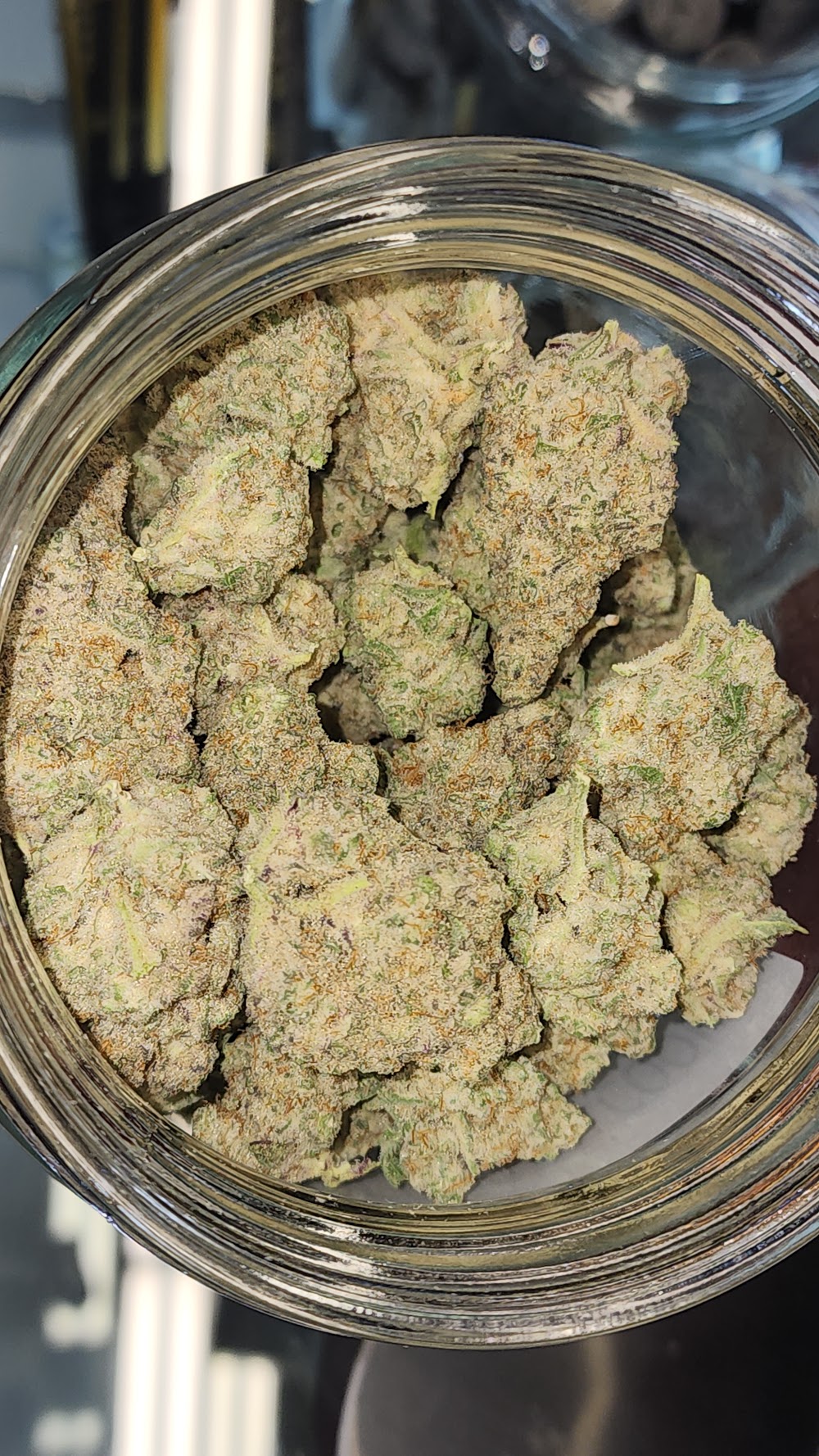 High Plainz Strains Of Ault photo 3