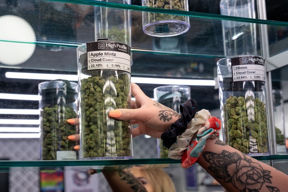 High Profile Cannabis Shop photo 5