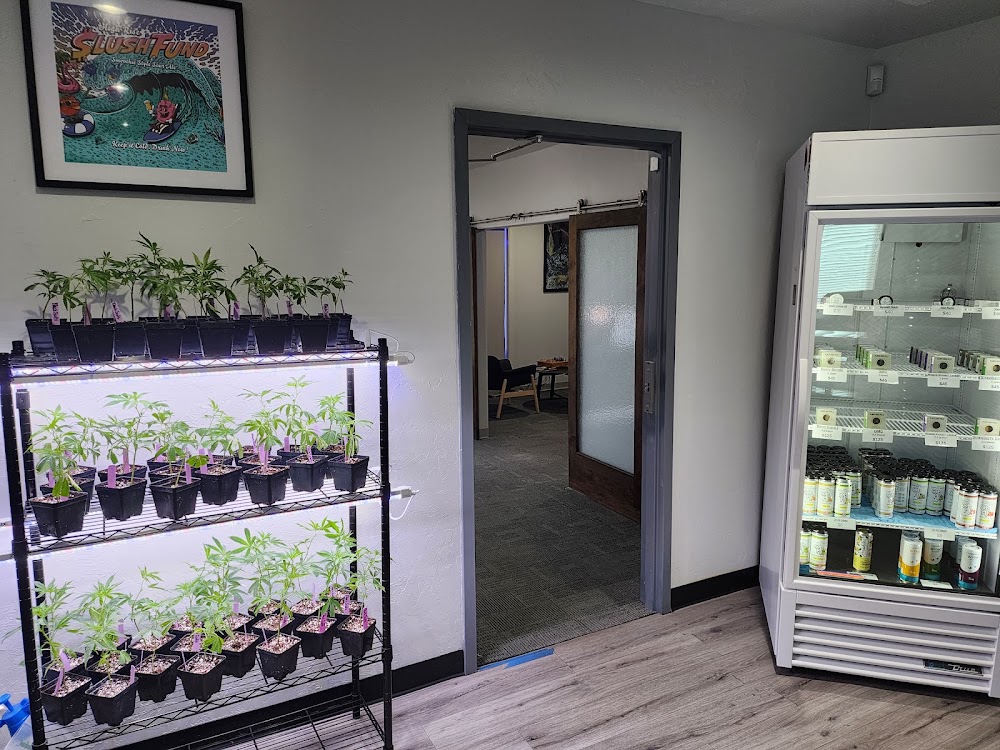 High Rise Wellness photo 7