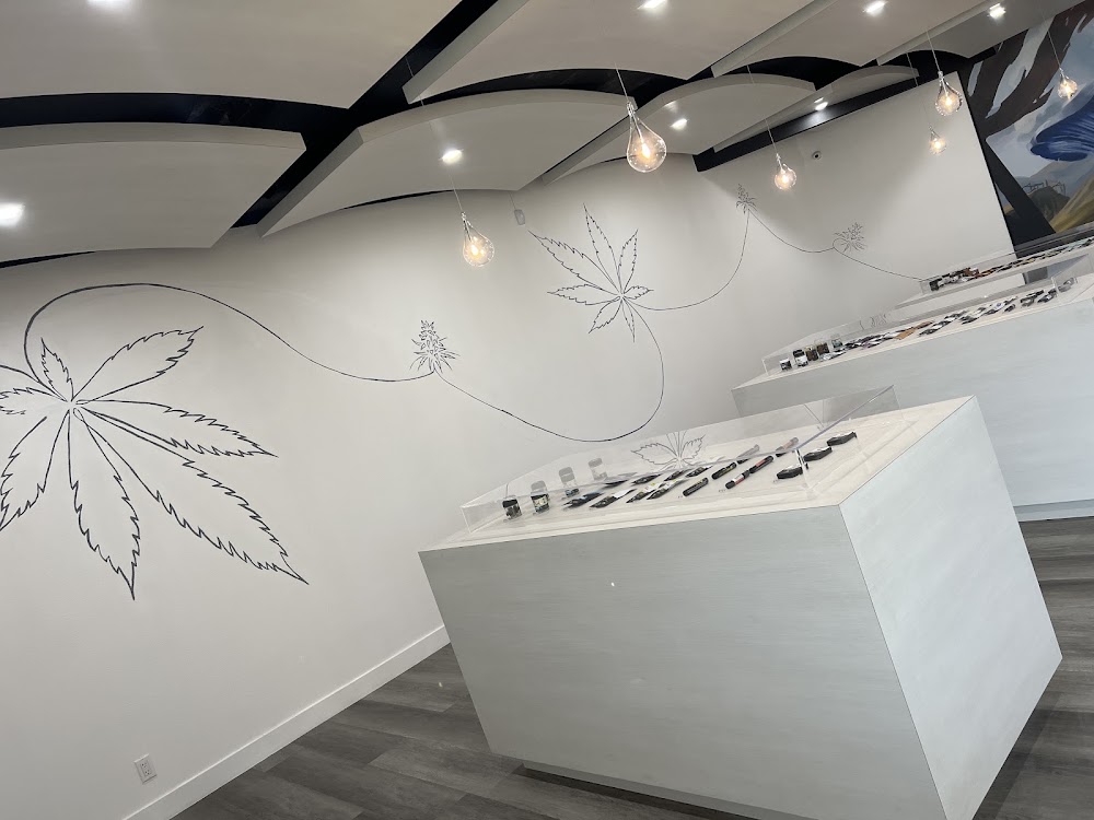 High Rollers Cannabis CO photo 3