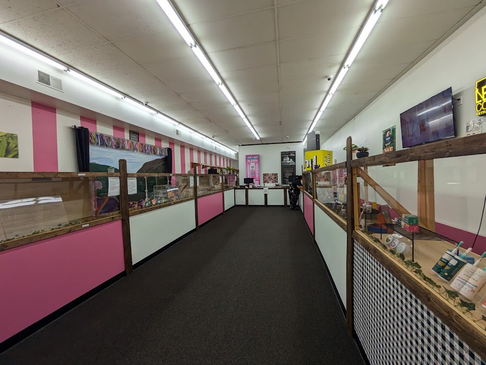 High Society Dispensary photo 2