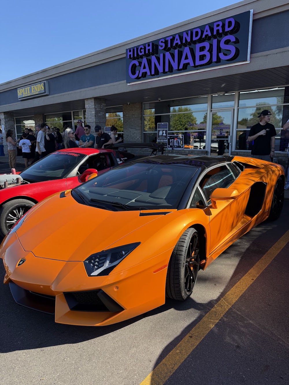 High Standard Cannabis photo 1