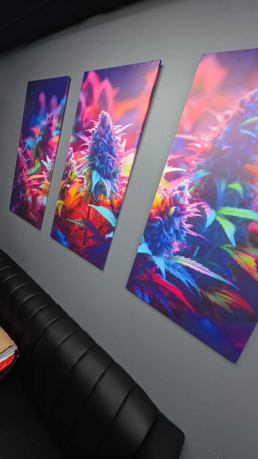 High Standard Cannabis photo 3