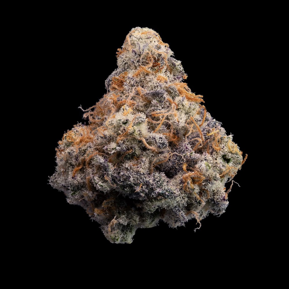 Higher Grade photo 6