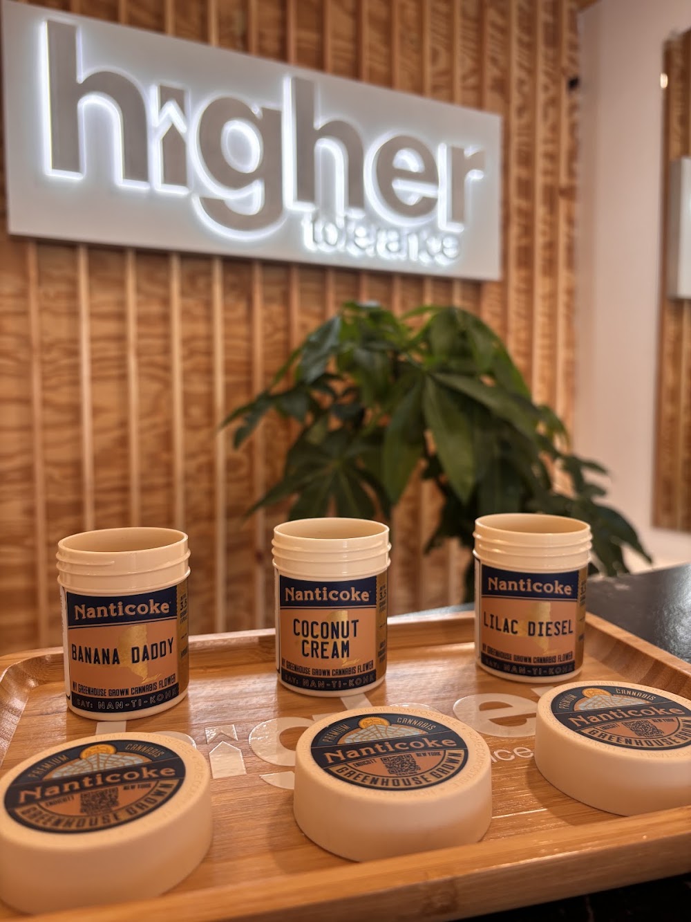 Higher Tolerance photo 4