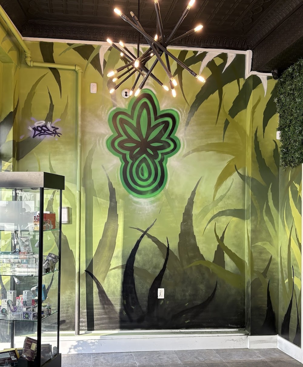 Highlife Health photo 3