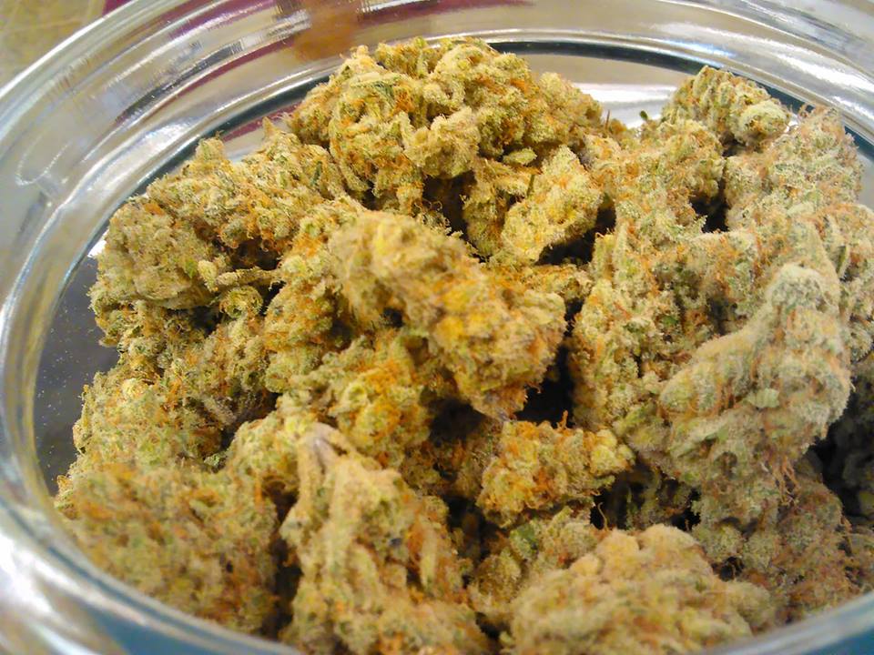 Highway 420 photo 7