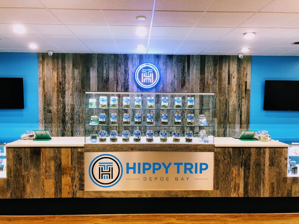 Hippy Trip photo 2