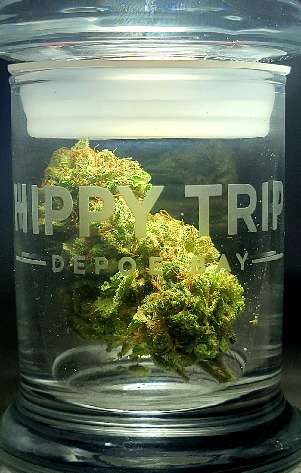 Hippy Trip photo 7