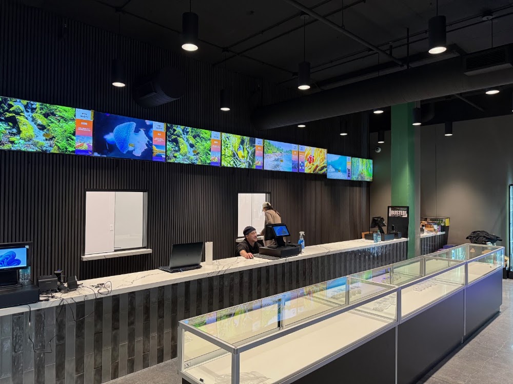 Hopkins Dispensary photo 3