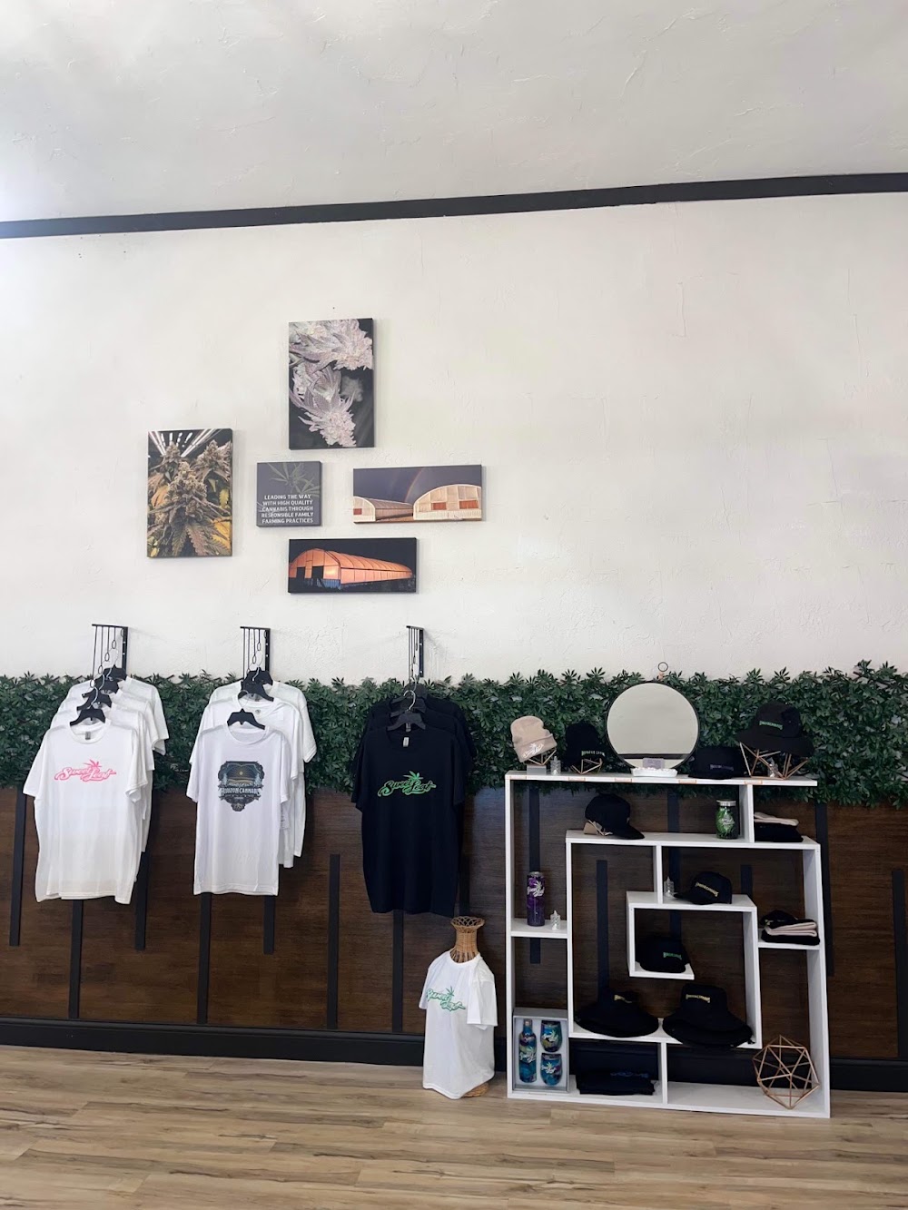 Horizon Cannabis CO. photo 6