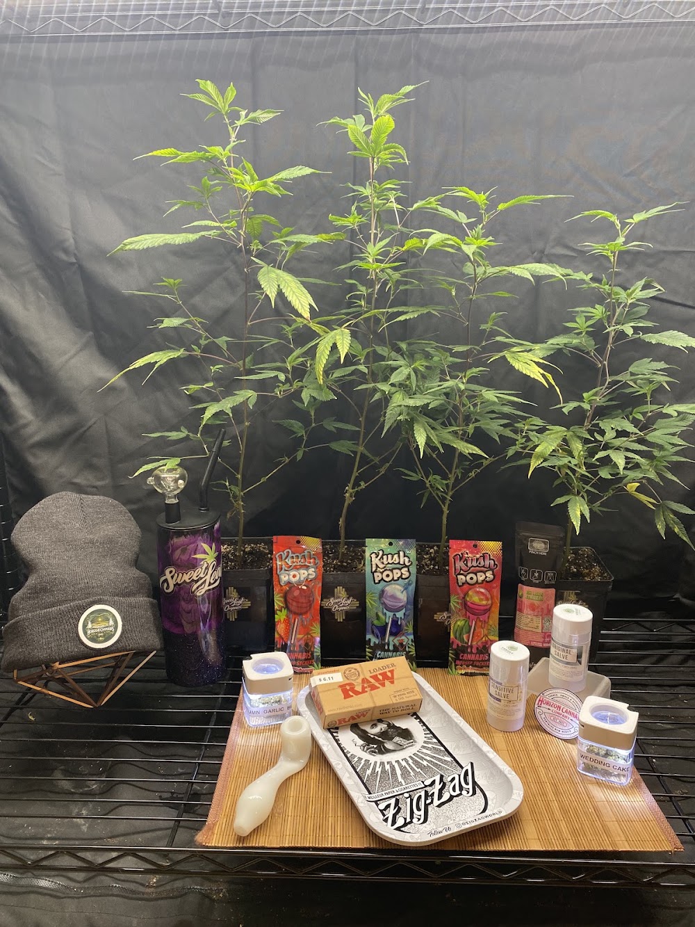 Horizon Cannabis CO. photo 7