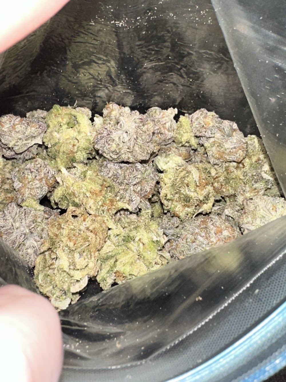 Hot Springs Cannabis photo 8