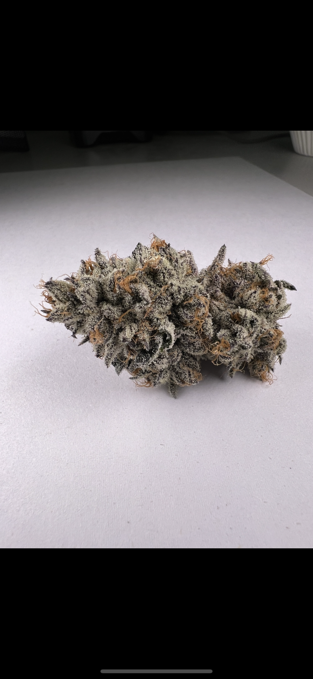 House Of Buds photo 6