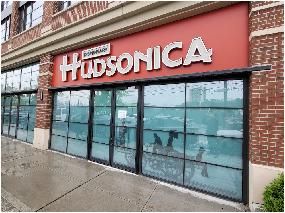 Hudsonica photo 1