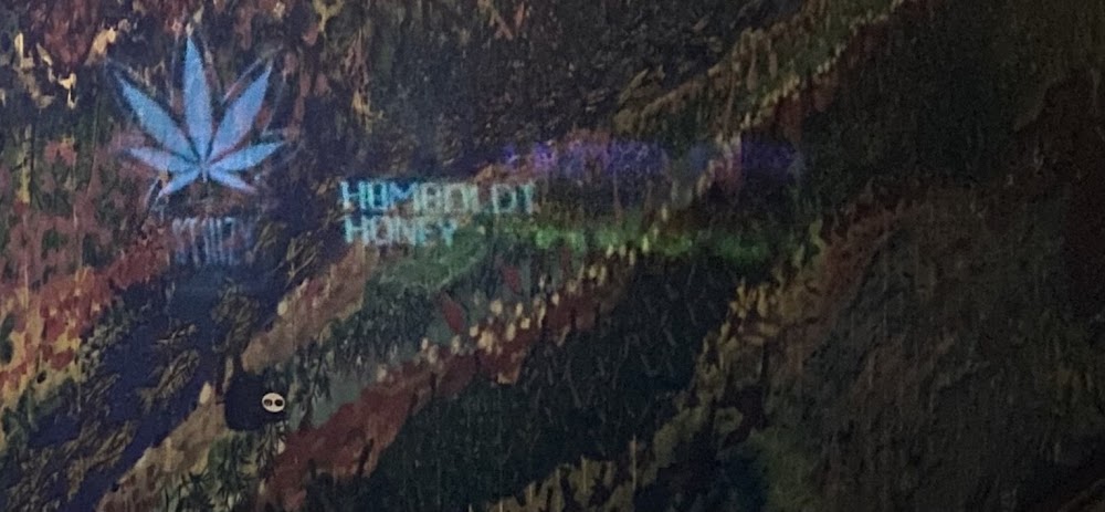Humboldt Honey Dispensary photo 8
