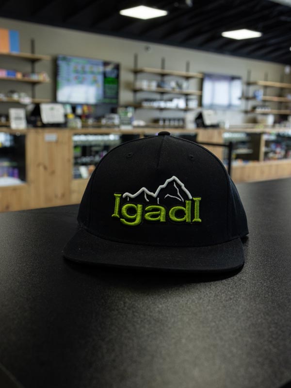 Igadi photo 4