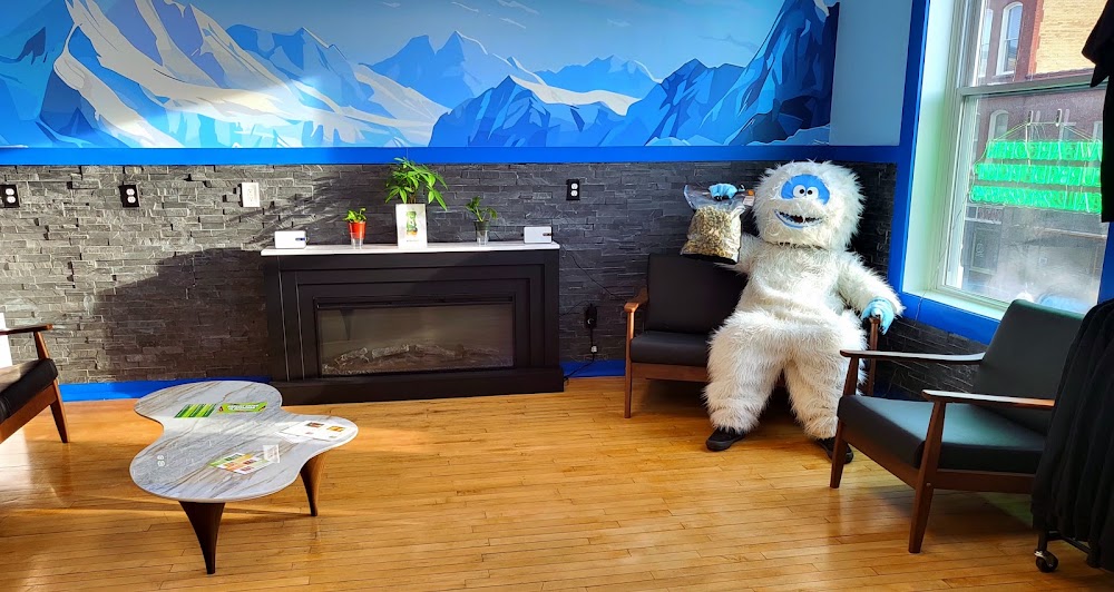 Igloo Cannabis Store photo 2