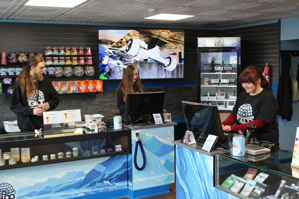 Igloo Cannabis Store photo 5